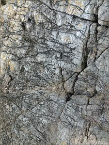 Odd pattern of cracks and grooves in limestone - resembling the tough wrinkled skin of elephant and rhinocerous hide