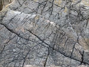 Odd pattern of cracks and grooves in limestone - resembling the tough wrinkled skin of elephant and rhinocerous hide