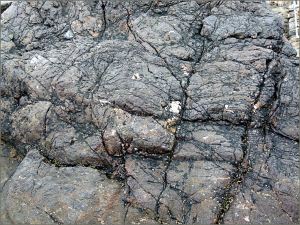 Odd pattern of cracks and grooves in limestone - resembling the tough wrinkled skin of elephant and rhinocerous hide