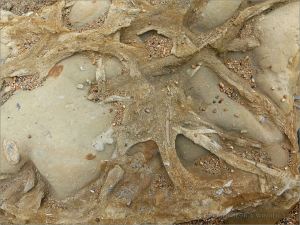 Rock pattern and texture in a beach boulder
