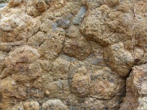 Rock pattern and texture in a beach boulder