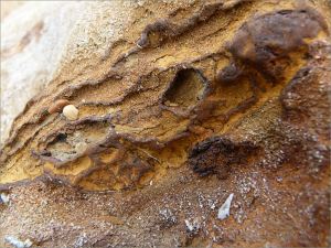 Rock pattern and texture in a beach boulder