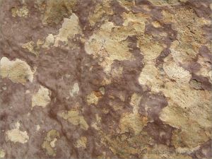 Rock pattern and texture in a beach boulder