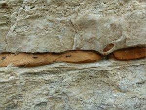 Rock pattern and texture in a beach boulder