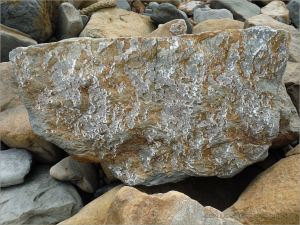 Natural patterns on a beach boulder