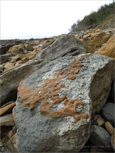Boulders on the seashore