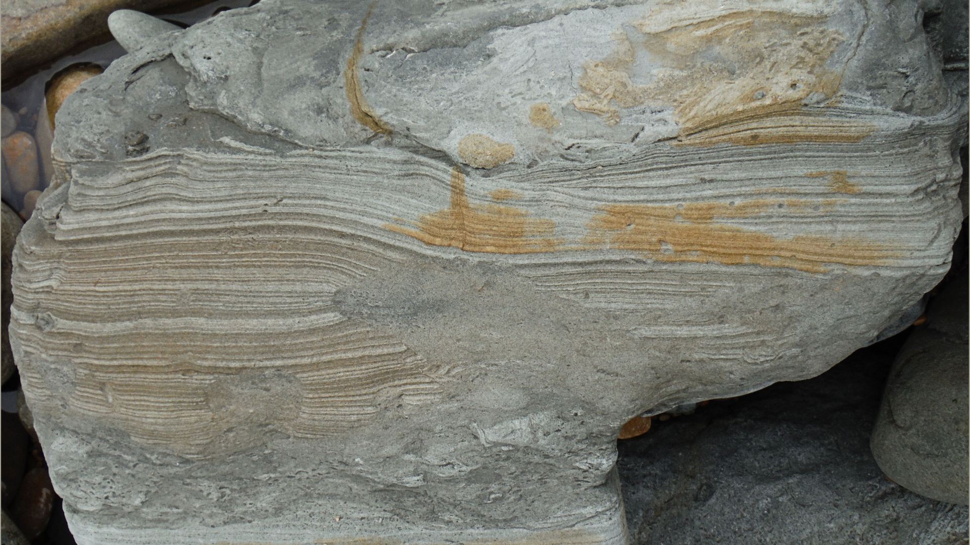 Detail of stratification on a small scale in a beach boulder