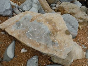 Two tone sedimentary rock boulder on the seashore where the blue-grey stone weathers to yellow on exposure to air