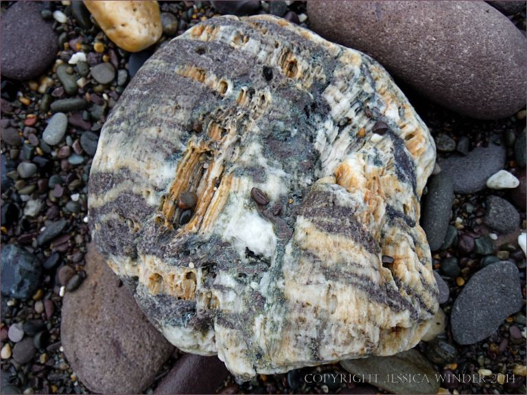 Beach stone with white quartz on the beach