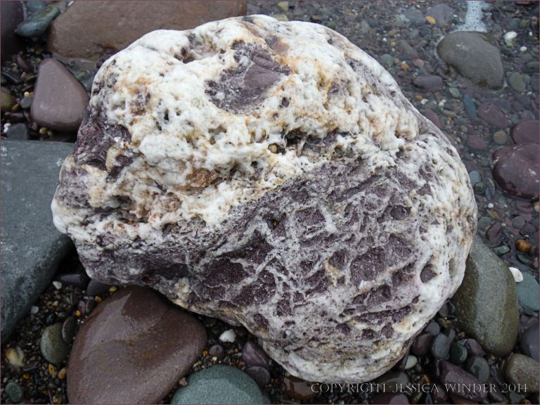 Beach stone with white quartz on the beach
