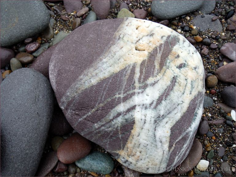 Beach stone with white quartz on the beach