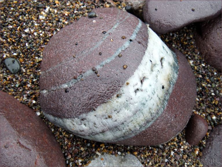 Beach stone with white quartz on the beach