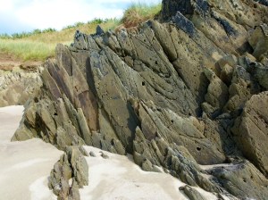 Jagged projections of Silurian rock on the beach