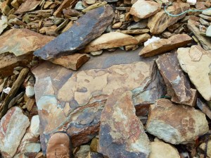 Colourful slabs of Silurian rock on the beach