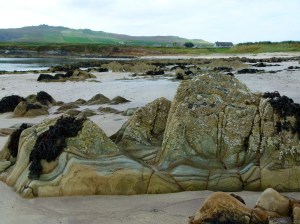 Striped rocky mudstone outcrops on the beach