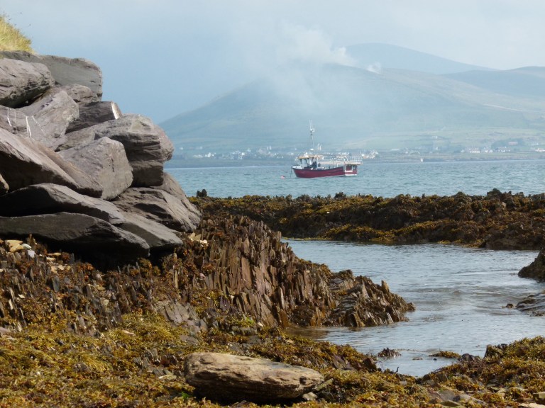 View looking due east across Smerwick Harbour showing outcrop of Silurian rock topped by rip-rap boulders