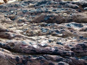 Texture in Devonian rock from the Dingle Group at Smerwick Harbour