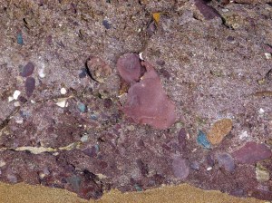 Devonian Dingle Group rock texture close-up