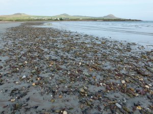 Pebbles on the mainly sandy beach at Smerwick Harbour