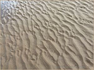 Natural sand ripple patterns on the beach