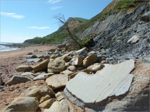 Sedimentary rock boulders on the seashore at the base of clay cliffs