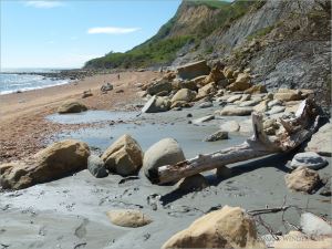 Sedimentary rock boulders and liquified clay on the seashore at the foot of cliffs
