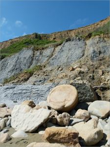 Sedimentary rock boulder on the seashore at the foot of clay cliffs