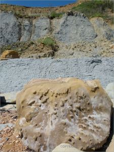 Sedimentary rock boulder on the seashore showing nodules