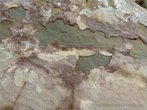 Detail of a rock on the beach at Eype in Dorset, England