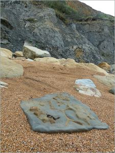 Rocks on the beach at Eype in Dorset, England