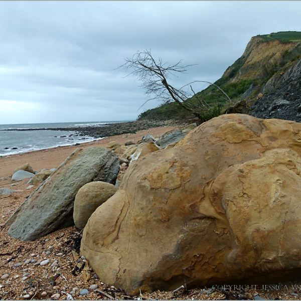 Rocks on the beach at Eype in Dorset, England