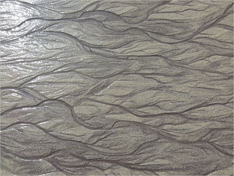 Dendritic drainage patterns on a sandy beach