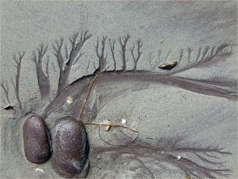 Dendritic drainage patterns in the sand with red pebbles