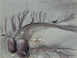 Dendritic drainage patterns in the sand with red pebbles
