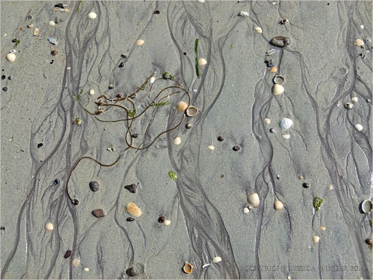 Sinuous drainage patterns in the sand on the beach