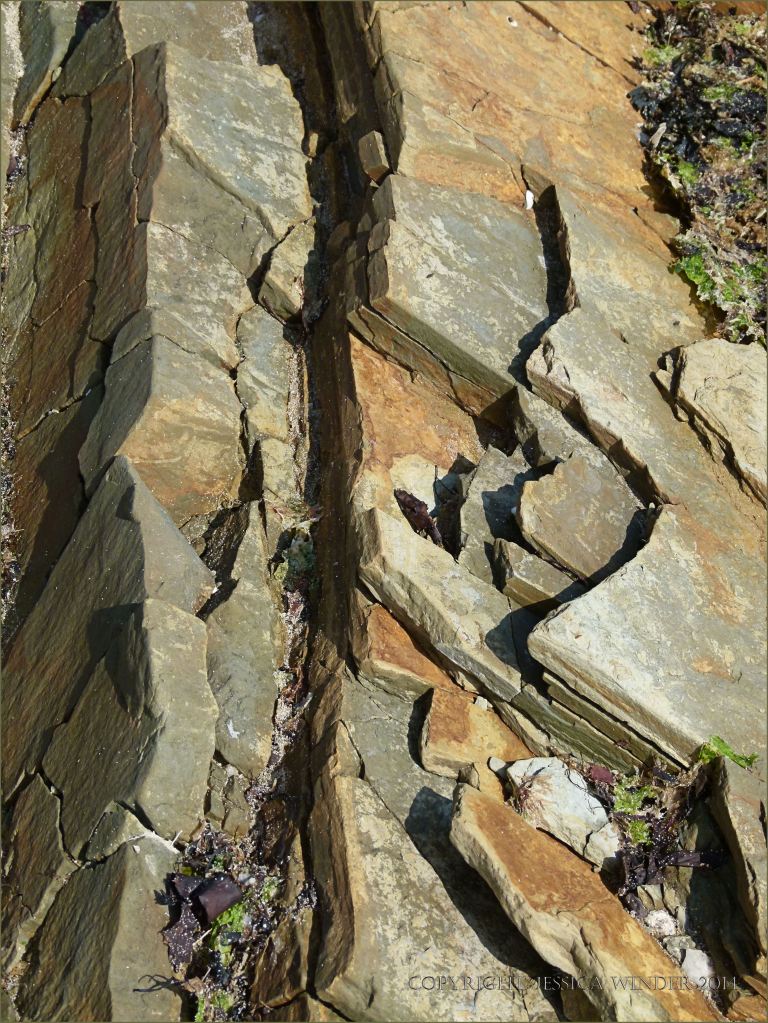 Silurian rocks on the beach in Ireland