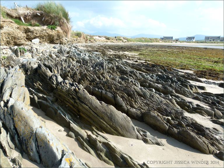 Silurian rocks on the beach at Ferriters Cove