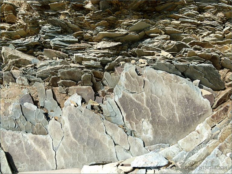 Silurian rocks on the beach at Ferriters Cove