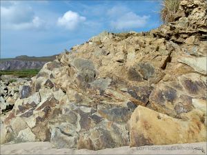 Texture, colour, and pattern in Silurian rock strata on the beach at Ferriters Cove