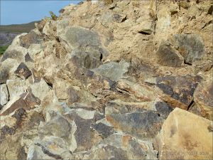 Texture, colour, and pattern in Silurian rock strata on the beach at Ferriters Cove