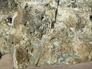 Texture, colour, and pattern in Silurian rock strata with weathered surface sculpturing on the beach at Ferriters Cove