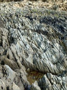 Texture, colour, and pattern in Silurian rock strata on the beach at Ferriters Cove