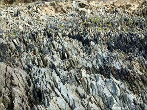 Texture, colour, and pattern in Silurian rock strata on the beach at Ferriters Cove