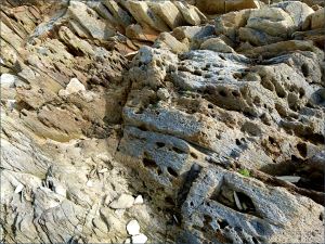 Texture, colour, and pattern in Silurian rock strata on the beach at Ferriters Cove