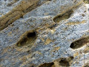 Texture, colour, and pattern in Silurian rock strata on the beach at Ferriters Cove