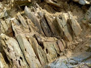 Texture, colour, and pattern in Silurian rock strata on the beach at Ferriters Cove
