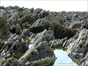 Texture, colour, and pattern in Silurian rock strata on the beach at Ferriters Cove