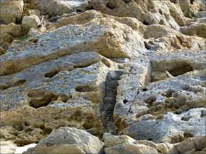 Texture, colour, and pattern in Silurian rock strata on the beach at Ferriters Cove