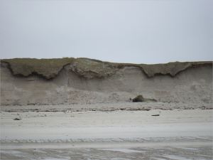 Erosion of the sand dunes on the west side of the tombolo (spit) at Dogs Bay