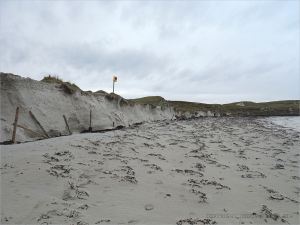 Storm-damaged tombola sand dunes at Dogs Bay